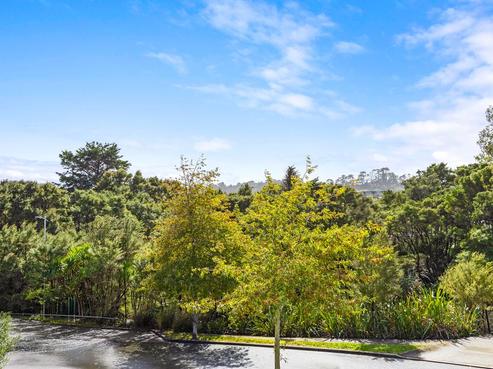 17 Korihi Drive, Swanson
