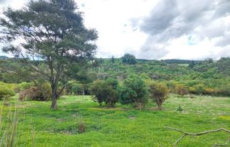  Cosy Dell Road, Herbert