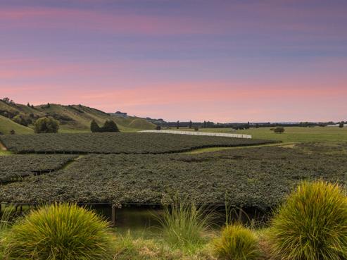 270 Te Puke Quarry Road, Papamoa