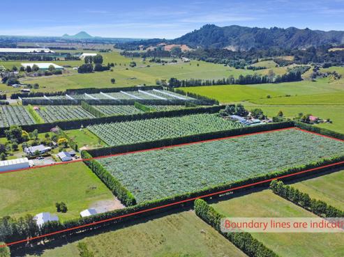 59 Macdonald Road, Te Teko