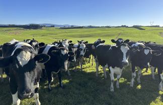 675 Cross Road, Dacre