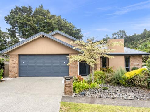 6 Halcyon Place, Whau Valley
