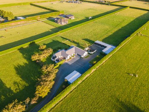 204 Roslyn Road, Roslyn Bush
