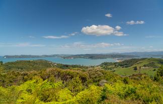 57 Tarapatiki Drive, Whitianga