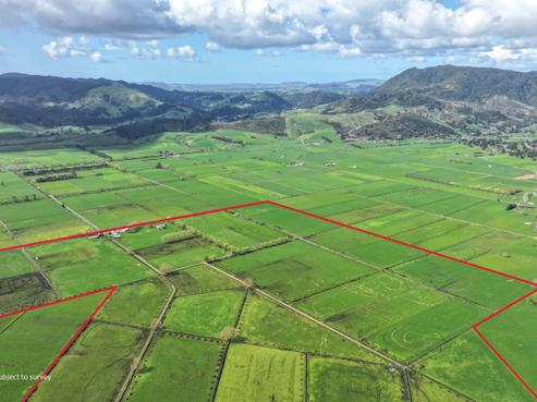 244 Rotokohu Road, Paeroa