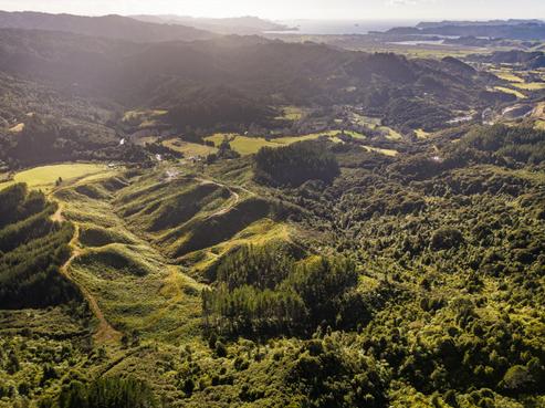 1870 The 309 Road, Kaimarama