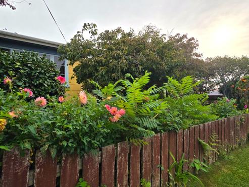 21 Regent Street, Waihi