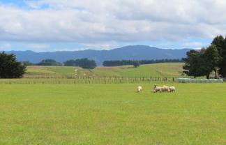101 Umutaoroa Road, Dannevirke