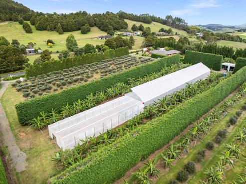 68 Snooks Road, Maungatapere