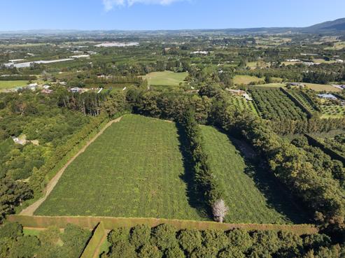 148 Wharawhara Road, Katikati