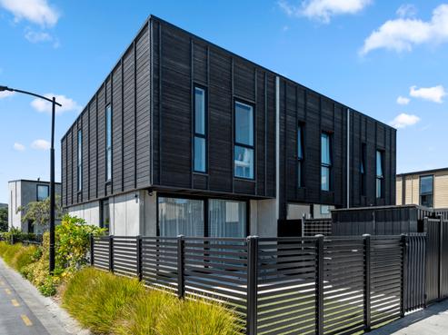 2 Te Ara O Paetutu, Petone