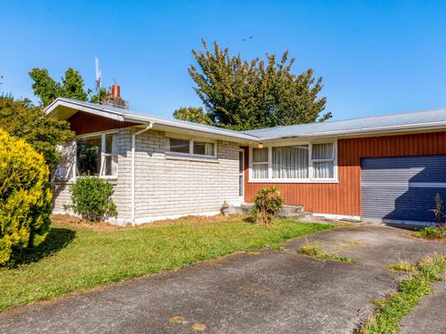 46 Karaka Crescent, Levin