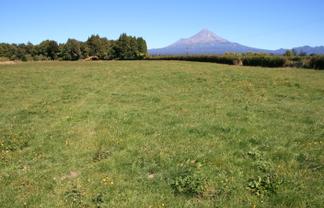 0pp 86 Johns Road, Tariki