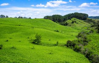 334c Komokoriki Hill Road, Makarau