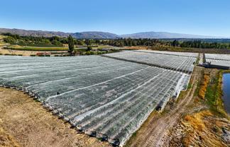 Lot 2 Earnscleugh Road, Alexandra