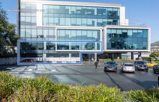 Medical/Showroom space for lease in Remuera