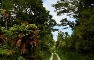 70 Sunset Heights Road, Karamea