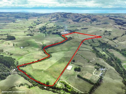 1210 Kaiaua Road, Mangatangi