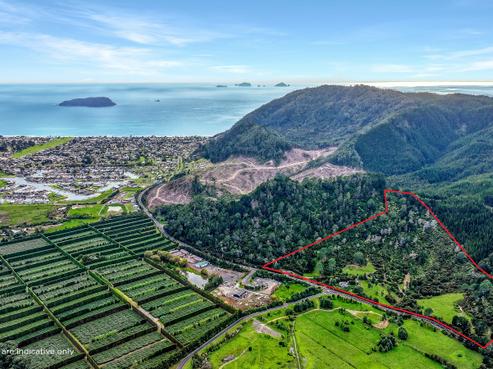 896A Hikuai Settlement Road, Pauanui