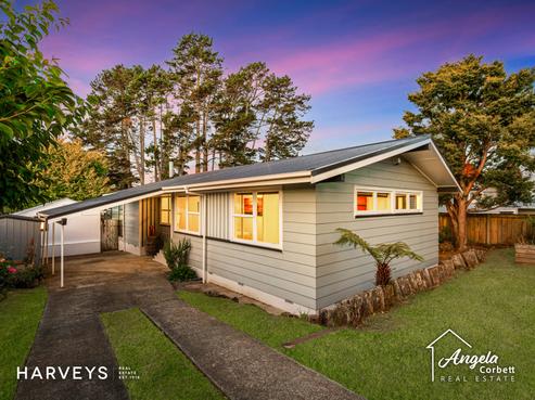 20 Jillian Drive, Ranui