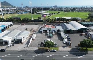 Big and Bold - Central Mount