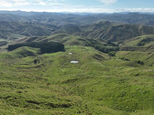 1191 Whangaehu Valley Road, Whangaehu Valley
