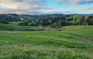 241 Golden Stairs Rd, Maungaturoto