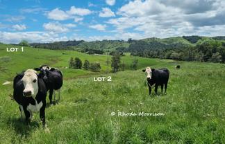  Golden Stairs Rd, Maungaturoto