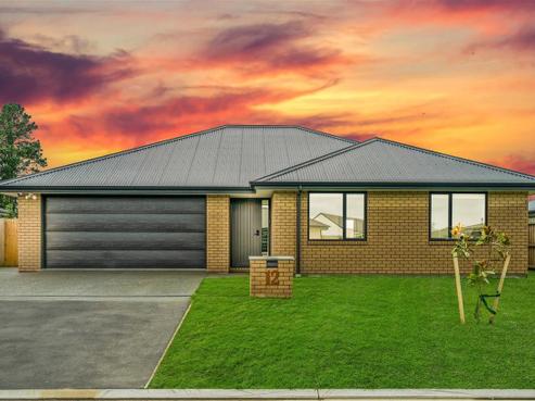 12 Rufus Street, Rolleston