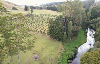 4641 Mangakahia Road, Awarua