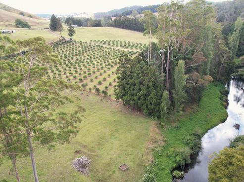 4641 Mangakahia Road, Awarua