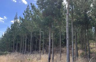 1387 Santoft Road, Bulls