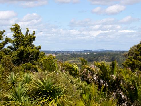 102 Taylor Road, Waimauku
