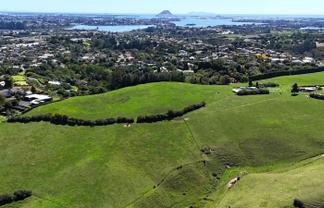 120/125 Upper Ohauiti Road, Ohauiti