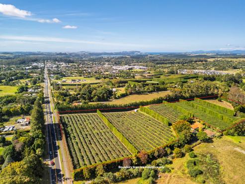 411 Kerikeri Road, Kerikeri