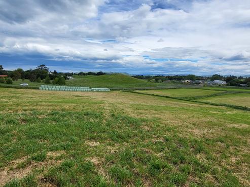 39 Edinburgh Street, Waikouaiti