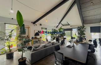 Architecturally Designed Workplace - Grey Lynn