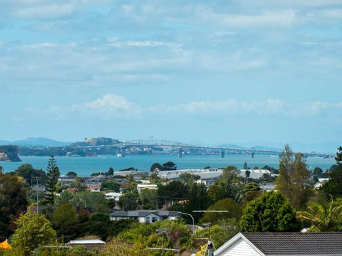 19 White Heron Drive, Massey