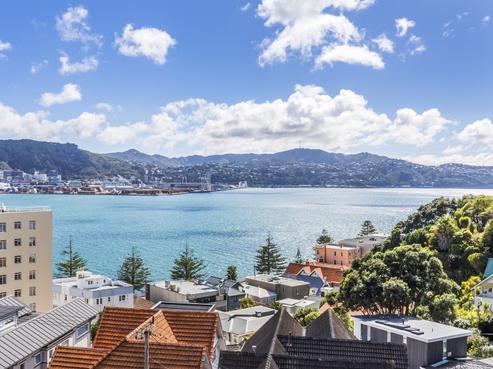2/1 Wilkinson Street, Oriental Bay