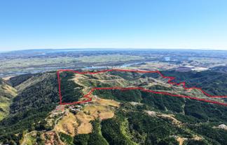 Abandoned 372ha harvested forestry block