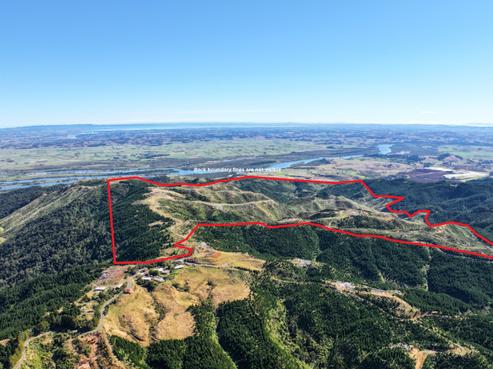 1036 Klondyke Road, Port Waikato