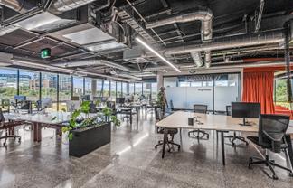 Modern CBD fringe standalone