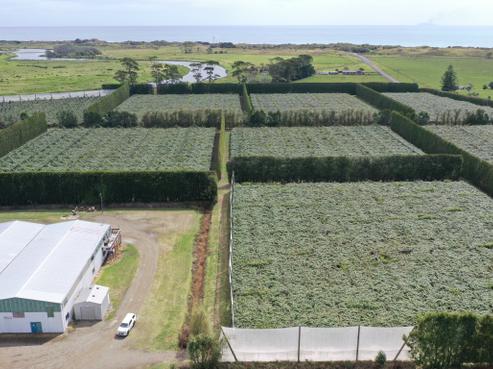 170 State Highway 35, Opotiki and Surrounds