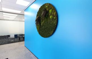 Takapuna office suites