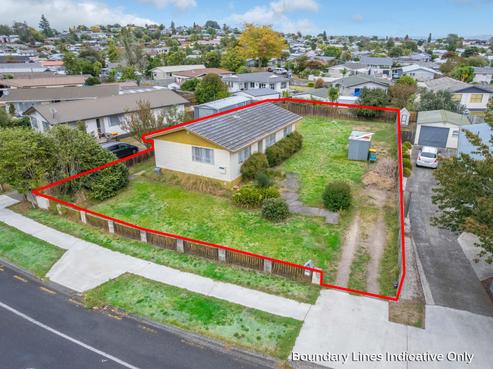 43 Hyde Avenue, Nawton