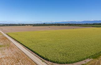 1041 Tikokino Road, Waipawa