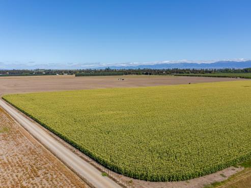 1041 Tikokino Road, Waipawa