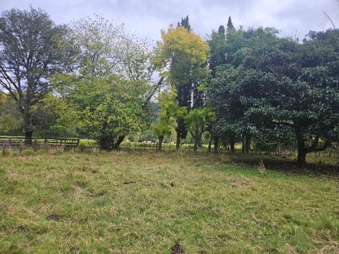 191 Opitonui Road, Whangapoua