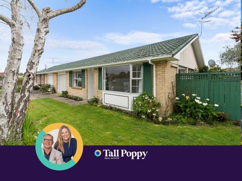 2B David Street, Waikanae