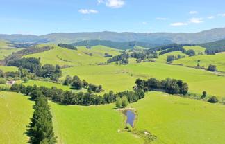 83 Towai Road, Dannevirke